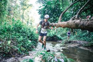 BIB: 
                            <button type="button" onclick="openModal(25430766)" class="btn btn-primary btn-sm float-right btn-popup" data-toggle="modal" data-target=".modal-high-quality">
                        <i class="fas fa-shopping-cart"></i> Add to Cart
                    </button>
                                            <button type="button" onclick="isThisMe(25430766, true)" class="btn btn-success btn-sm float-right btn-popup btn-isme hidden" data-toggle="tooltip" data-placement="bottom" title="นี่คือรูปของคุณใช่ไหม คลิกที่นี่เพื่อเอาเข้าอัลบั้ม">
                        <i class="fas fa-plus"></i> Add to album
                    </button>
                    <button type="button" onclick="isThisMe(25430766, false)" class="btn btn-warning btn-sm float-right btn-popup btn-isnotme hidden">
                        <i class="fas fa-ban"></i> Remove from album
                    </button>